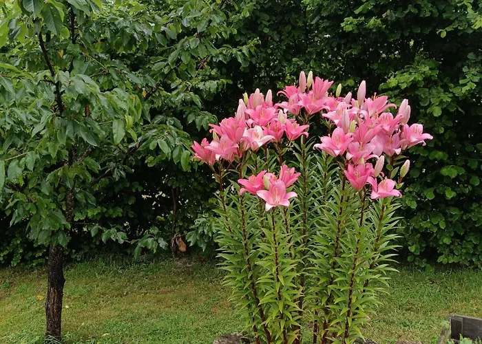 Hébergement de vacances Maison Chaleureuse En Ariège Roquefort-Les-Cascades