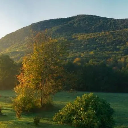 Maison Chaleureuse En Ariege Roquefort-Les-Cascades